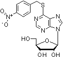PI-10289 S-(4-Nitrobenzyl)-6-thioinosine (38048-32-7)