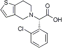PI-12502 (S)-A-(2-Chlorophenyl)-6,7-dihydrothieno[3,2-c]pyridine-5(4H)-acetic acid (Not available)