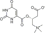 PI-13438 L-Carnitine orotate (160468-17-7)