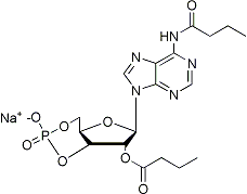PI-13777 Bucladesine sodium (16980-89-5)