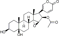 PI-13822 Cinobufotalin (1108-68-5)