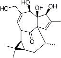 PI-13823 Ingenol (30220-46-3)
