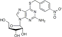 PI-13977 NBTGR (13153-27-0)