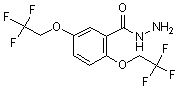 PI-14212 2,5-Bis(2,2,2-trifluoroethoxy)benzoic acid hydrazide (50778-75-1)