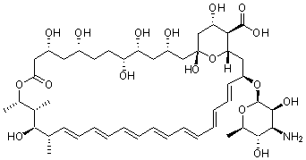 PI-15256 Amphotericin B (1397-89-3)