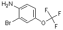 PI-15594 2-Bromo-4-(trifluoromethoxy)aniline (175278-17-8)