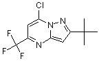 PI-15632 2-tert-Butyl-7-chloro-5-(trifluoromethyl)pyrazolo[1,5-a]pyrimidine (175203-38-0)