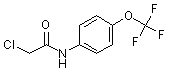 PI-15660 N-(Chloroacetyl)-4-(trifluoromethoxy)aniline (161290-85-3)