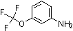 PI-16858 3-(Trifluoromethoxy)aniline (1535-73-5)