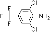 PI-16909 4-Amino-3,5-dichlorobenzotrifluoride (24279-39-8)