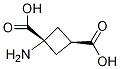 PI-17991 Trans-1-Aminocyclobutane-1,3-dicarboxylic acid (117488-23-0)