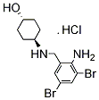 PI-18376 Ambroxol HCl (23828-92-4)