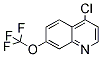 PI-18526 4-Chloro-7-trifluoro methoxyquinoline (40516-31-2)