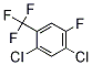 PI-19055 2,4-Dichloro-5-fluorobenzotrifluoride (112290-01-4) PI-19055 2,4-Dichloro-5-fluorobenzotrifluoride (112290-01-4)