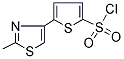 PI-19316 5-(2-Methyl-1,3-thiazol-4-yl)thiophene-2-sulfonyl chloride (215434-25-6)