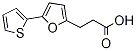 PI-19354 3-(5-Thiophen-2-yl-furan-2-yl)-propionic acid (24090-38-8)