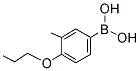 PI-19386 (4-Propoxy-3-methylphenyl)boronic acid (279262-88-3)