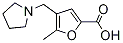 PI-19405 5-Methyl-4-pyrrolidin-1-ylmethyl-furan-2-carboxylic acid (299920-96-0)