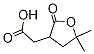 PI-19568 (5,5-Dimethyl-2-oxo-tetrahydro-furan-3-yl)-acetic acid (421198-86-3)
