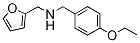 PI-19613 (4-Ethoxy-benzyl)-furan-2-ylmethyl-amine (436096-81-0)