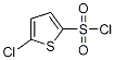 PI-20246 5-Chlorothiophene-2-sulphonyl chloride (2766-74-7)