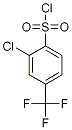 PI-20264 2-Chloro-4-(trifluoromethyl)benzenesulphonylchloride (175205-54-6)