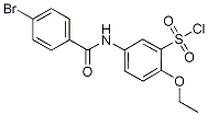PI-20541 5-(4-Bromobenzoylamino)-2-ethoxybenzenesulfonylchloride (Not available)