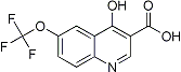 PI-20884 4-Hydroxy-6-(trifluoromethoxy)quinoline-3-carboxylic acid (175203-86-8)
