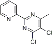 PI-21056 4,5-Dichloro-6-methyl-2-(2-pyridyl)pyrimidine (306935-55-7)