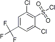 PI-21094 2,6-Dichloro-4-(trifluoromethyl)benzene sulphonyl chloride (175205-76-2) PI-21094 2,6-Dichloro-4-(trifluoromethyl)benzene sulphonyl chloride (175205-76-2)