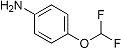 PI-21176 4-(Difluoromethoxy)aniline (22236-10-8)