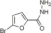 PI-21498 5-Bromo-2-furoic acid hydrazide (89282-37-1)
