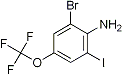 PI-21534 2-Bromo-6-iodo-4-trifluoromethoxyaniline (845866-77-5 )