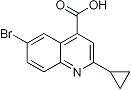 PI-21591 6-Bromo-2-cyclopropylquinoline-4-carboxylic acid (313241-16-6)
