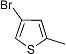 PI-22178 4-Bromo-2-methylthiophene (29421-92-9)