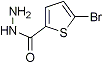 PI-22618 5-Bromo-thiophene-2-carboxylic acid hydrazide (98027-27-1)