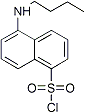 PI-22873 5-Butylaminonaphthalene-1-sulfonyl chloride (728864-87-7)