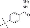 PI-22883 4-tert-Butylbenzhyrazide (43100-38-5)