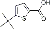 PI-23052 5-tert-Butylthiophene-2-carboxylic acid (478022-18-3)