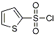 PI-24139 2-Thiophenesulfonyl chloride (16629-19-9)