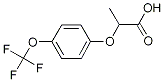 PI-24161 dl-2-[4-(Trifluoromethoxy)phenoxy]propionic acid (175204-35-0)