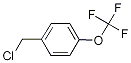PI-24549 4-(Trifluoromethoxy)benzyl chloride (65796-00-1)