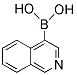 PI-25290 4-Isoquinolineboronic acid (192182-56-2)