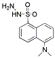 PI-25450 1-Dimethylaminophthalene-5-sulphonyl hydrazine (33008-06-9)