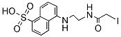PI-25493 5-[2-(Iodoacetamido)ethylamino]naphthalene-1-sulfonic acid (36930-63-9)