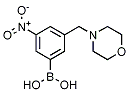 PI-25925 N-Morpholinyl 3-borono-5-nitrobenzamide (871332-80-8)