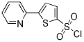 PI-26161 5-(2-Pyridyl)Thiophene-2-Sulfonyl Chloride (151858-64-9)