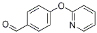 PI-26255 4-(Pyrid-2-yloxy)benzaldehyde (194017-69-1)