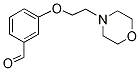 PI-26923 3-(2-Morpholin-4-ylethoxy)benzaldehyde (81068-26-0)