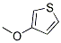PI-27269 3-Methoxythiophene (17573-92-1)